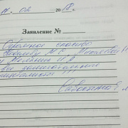 Савостина Е.М.