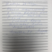 Фролова Л.Н.