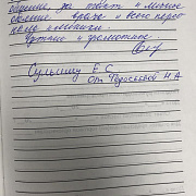 Федосеева Н.А.