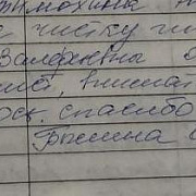 о Катковой Е.В.
