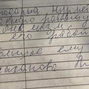 Шаханова Л.В.